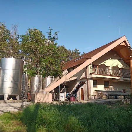 Pensiune Josephus Vendeghaz Kotcse