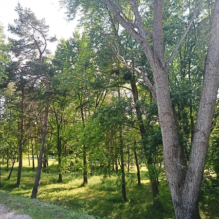 Pensiune Josephus Vendeghaz