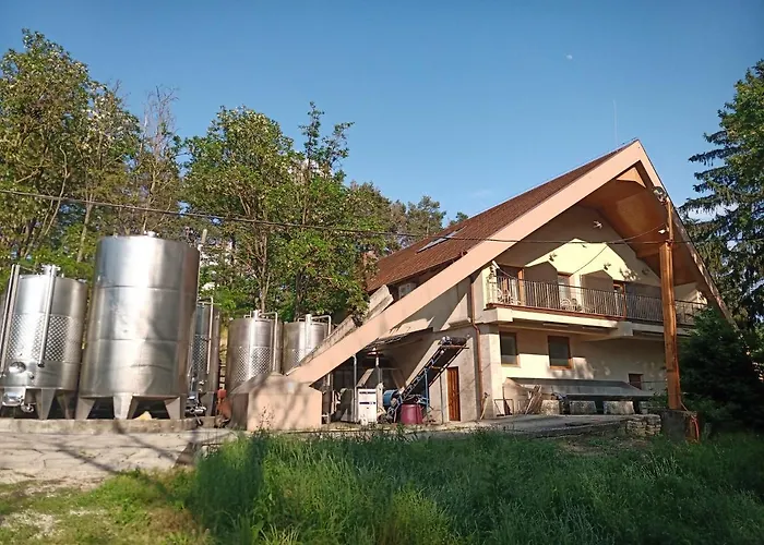 Pensiune Josephus Vendeghaz Kotcse